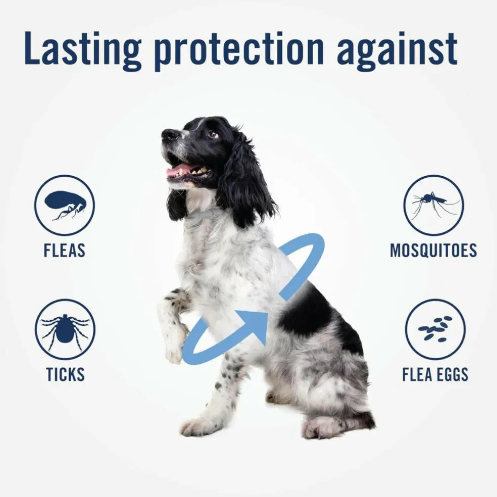 PetArmor Plus Flea & Tick Collar for Dogs