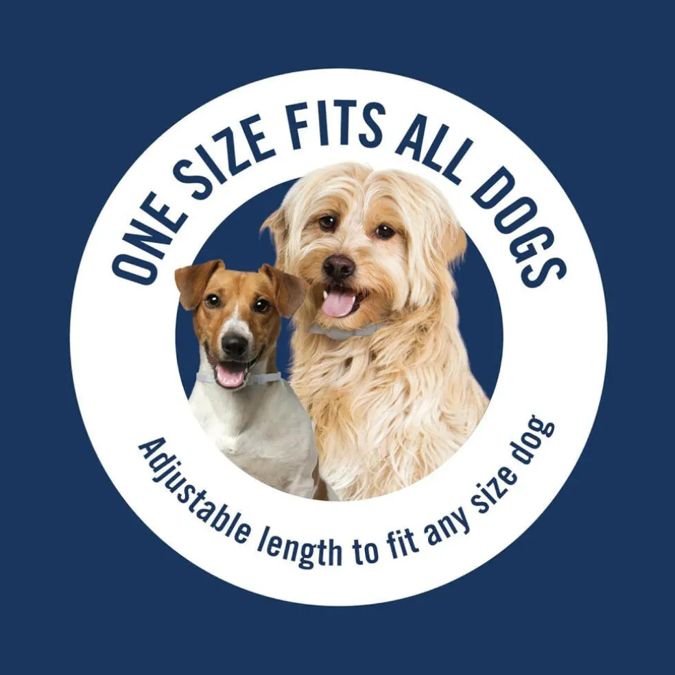 PetArmor Plus Flea & Tick Collar for Dogs