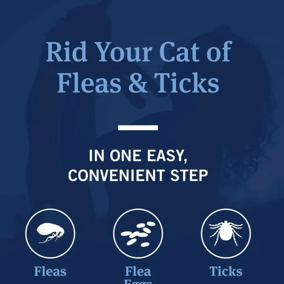 PetArmor Plus Flea & Tick Shampoo for Cats (12 oz)