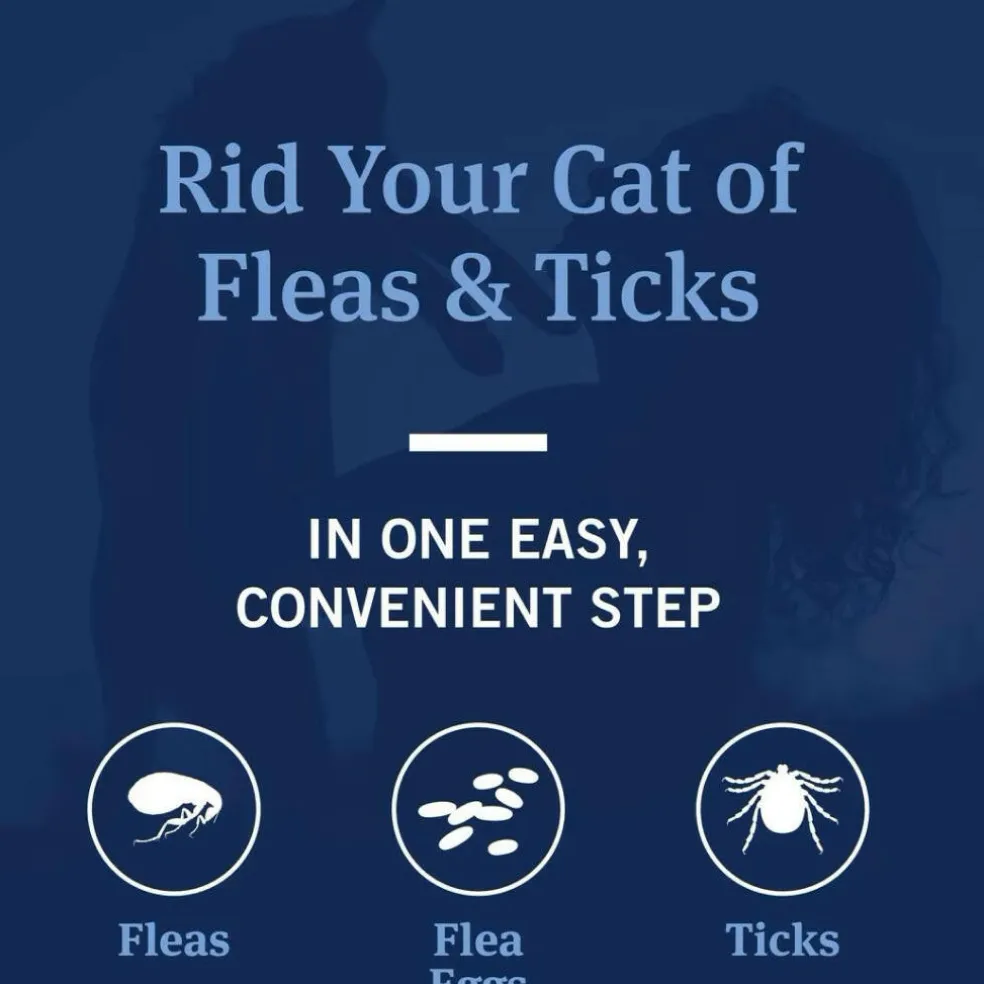 PetArmor Plus Flea & Tick Shampoo for Cats (12 oz)