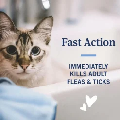 PetArmor Plus Flea & Tick Shampoo for Cats (12 oz)