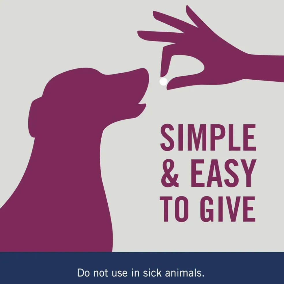 PetArmor 7 Way De-Wormer for Medium & Large Dogs 6 ct