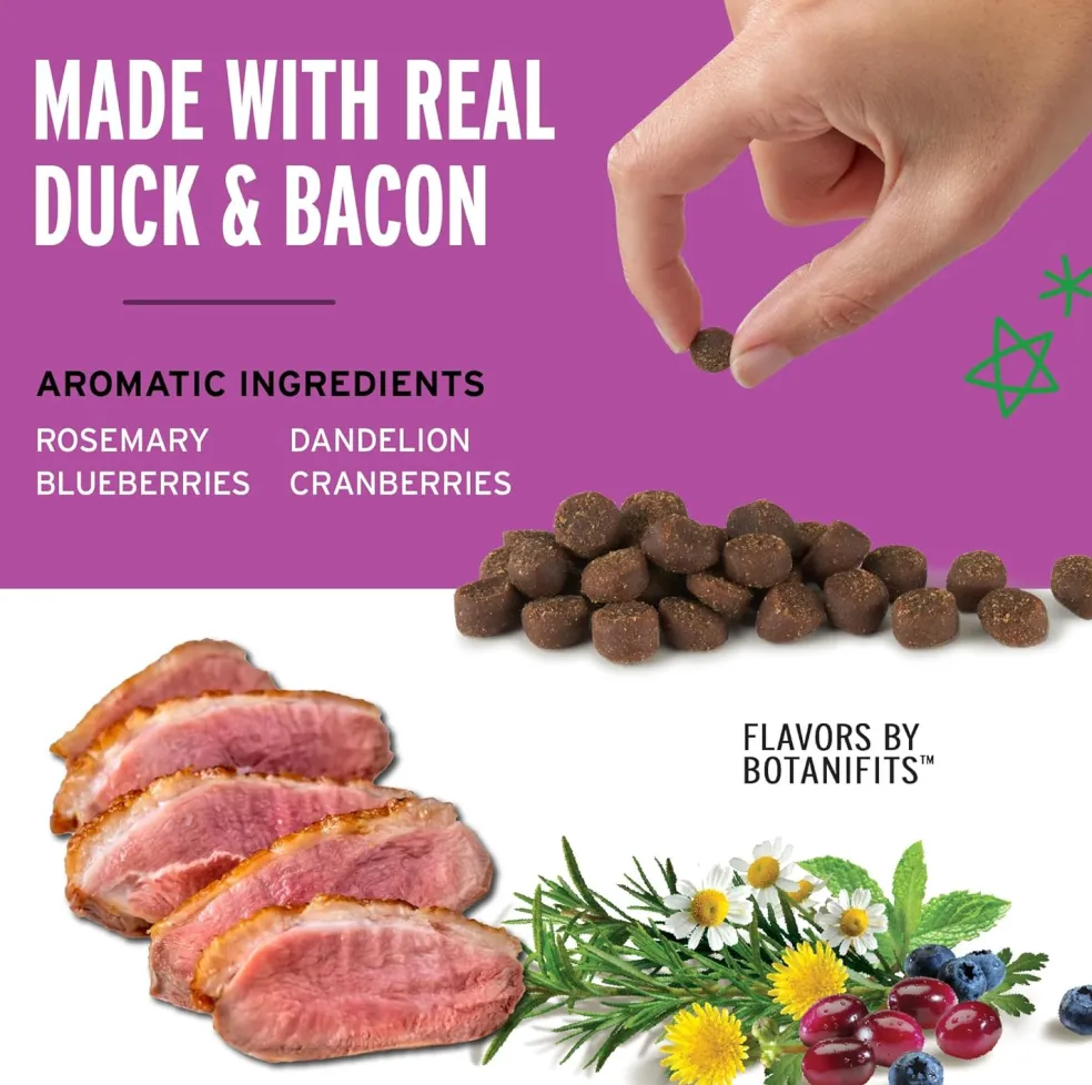 Pet Botanics Training Rewards Mini Soft & Chewy Duck & Bacon Flavor Dog Treats (4 oz)