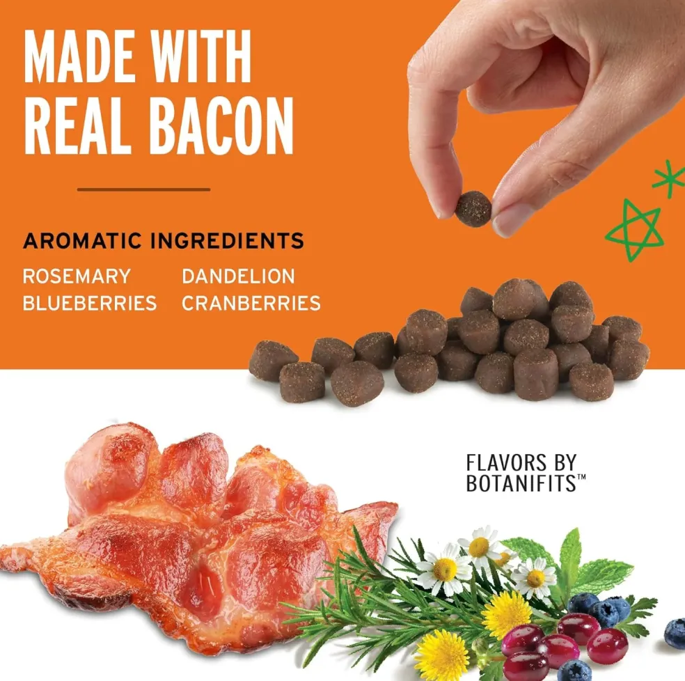 Pet Botanics Training Rewards Soft & Chewy Chicken Flavor Large Bites (20 oz)