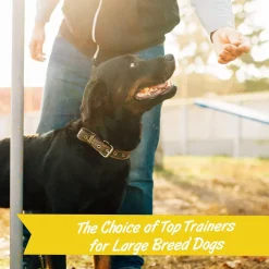 Pet Botanics Training Rewards Soft & Chewy Chicken Flavor Large Bites (20 oz)