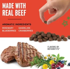 Pet Botanics Training Rewards Soft & Chewy Beef Flavor Dog Treats (20 oz)