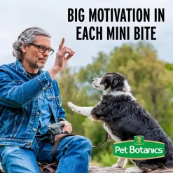Pet Botanics Training Rewards Soft & Chewy Beef Flavor Dog Treats (20 oz)