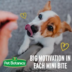 Pet Botanics Training Rewards Mini Soft & Chewy Bacon Flavor Dog Treats