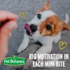 Pet Botanics Training Rewards Mini Soft & Chewy Cheddar Flavor Dog Treats (4 oz)