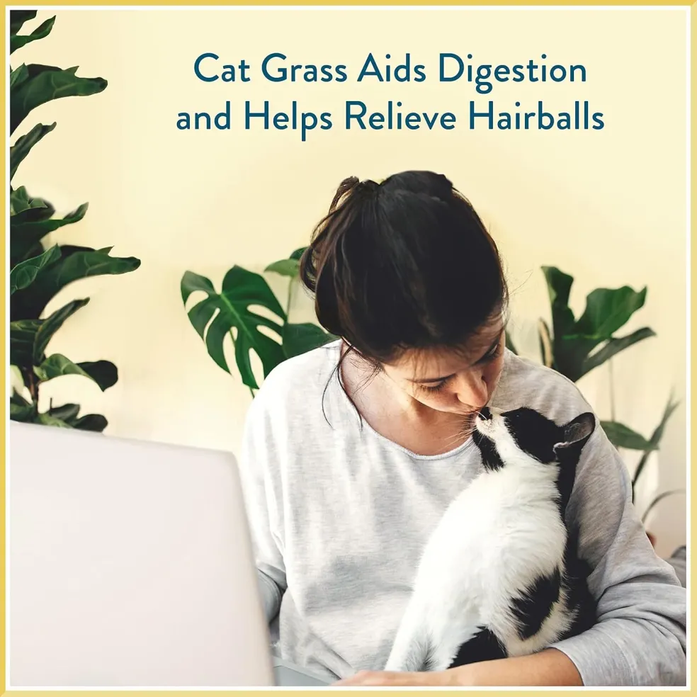 Pet Greens Cat Craves Semi-Moist Tuna Soft Treats For Cats (3 oz)