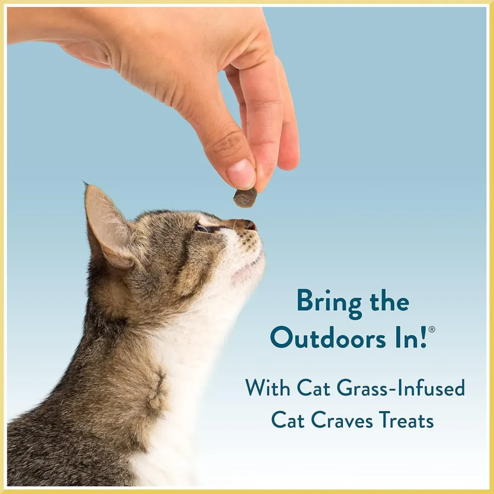 Pet Greens Cat Craves Semi-Moist Turkey & Duck Soft Treats For Cats (3 oz)