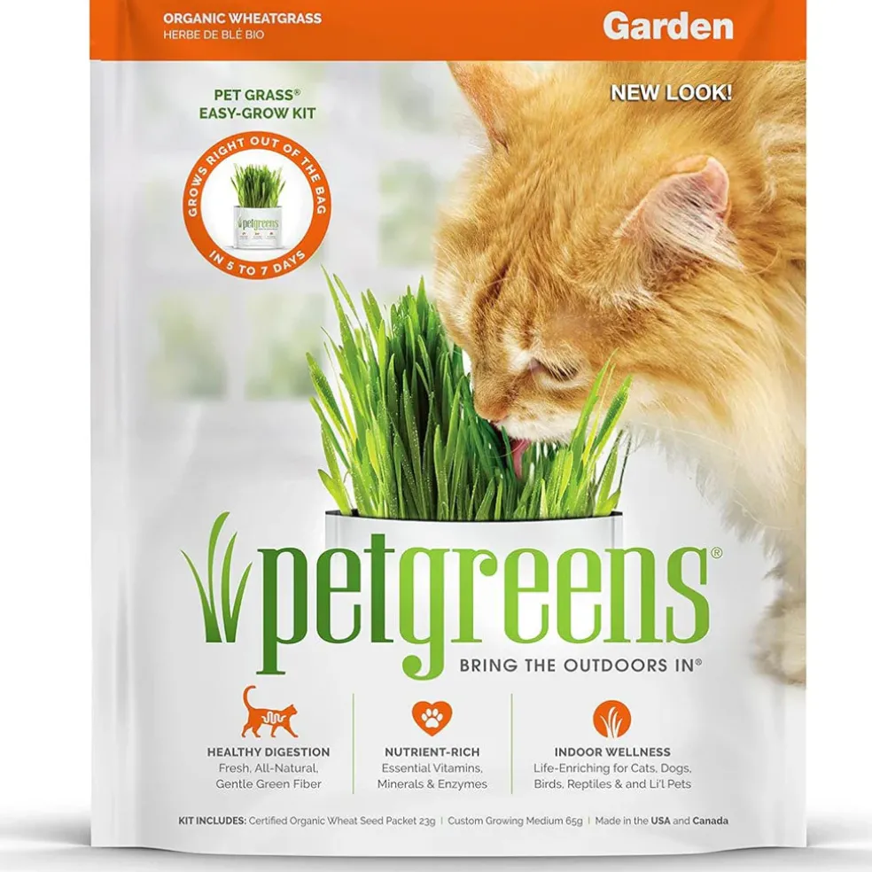 Pet Greens Garden Pet Grass Self-Grow Kit Organic Wheatgrass, 3-oz