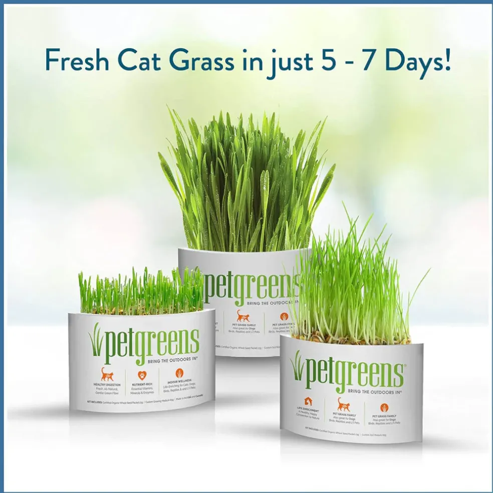 Pet Greens Garden Pet Grass Self-Grow Kit Organic Wheatgrass, 3-oz