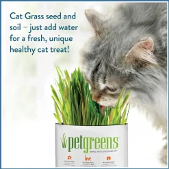 Pet Greens Garden Pet Grass Self-Grow Kit Organic Wheatgrass, 3-oz