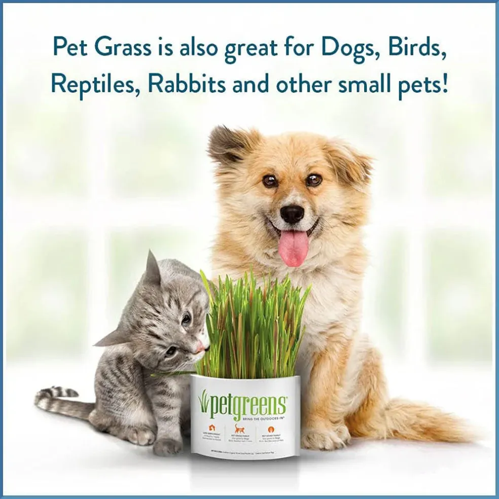 Pet Greens Garden Pet Grass Self-Grow Kit Organic Wheatgrass, 3-oz