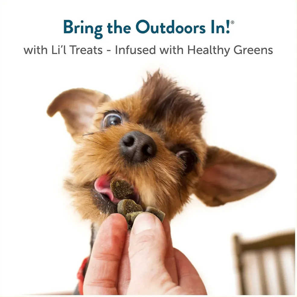 Pet Greens Li'l Treats Bacon Cheese Soft Mini Dog Treats, 6-oz