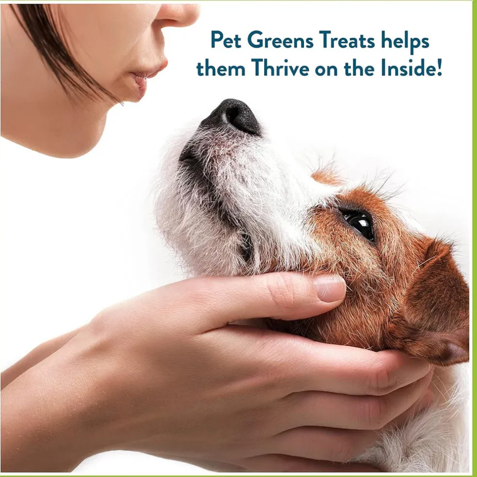 Pet Greens Li'l Treats Lamb Soft Mini Dog Treats, 6-oz