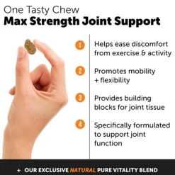 Pet Honesty Hip + Joint Health Max Strength Soft Chews for Dogs (90 ct)