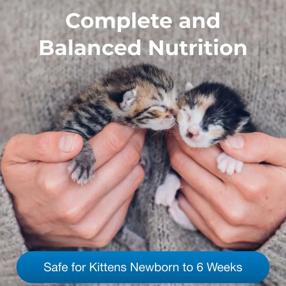 PetLac Kitten Milk Replacement Powder (10.5 oz)