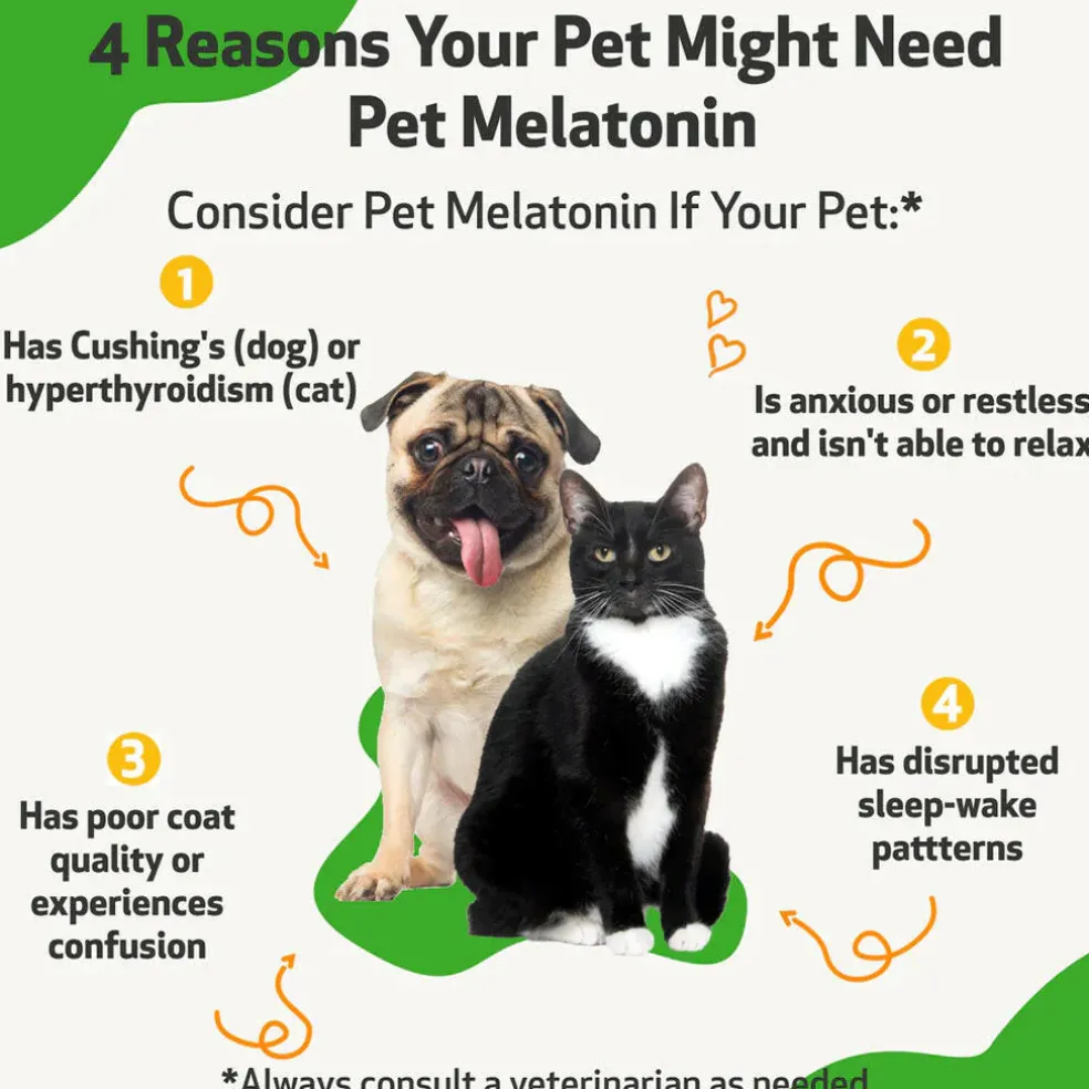 Pet Melatonin for Cats (2 oz)