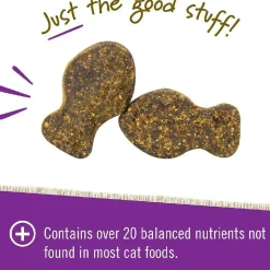 Pet Naturals Daily Multi Chews for Cats (30 count)