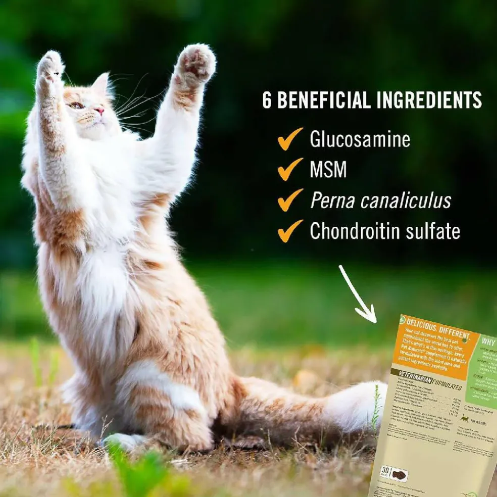 Pet Naturals Hip + Joint Chews for Cats (30 count)