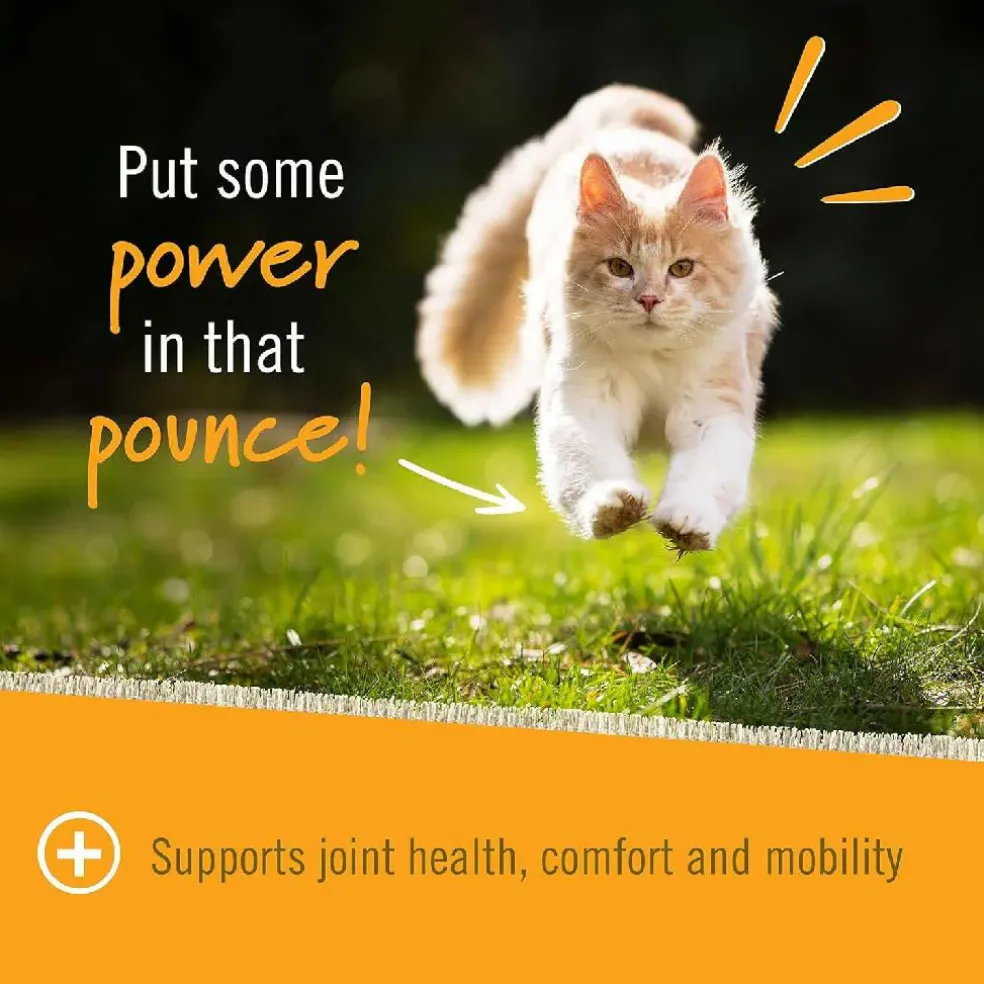 Pet Naturals Hip + Joint Chews for Cats (30 count)