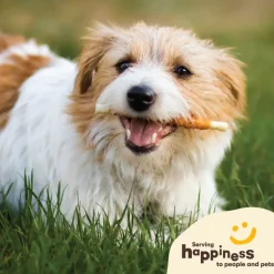 Pet 'n Shape Chik 'n Hide Twists Chicken Wrapped Rawhide Treats For Dogs