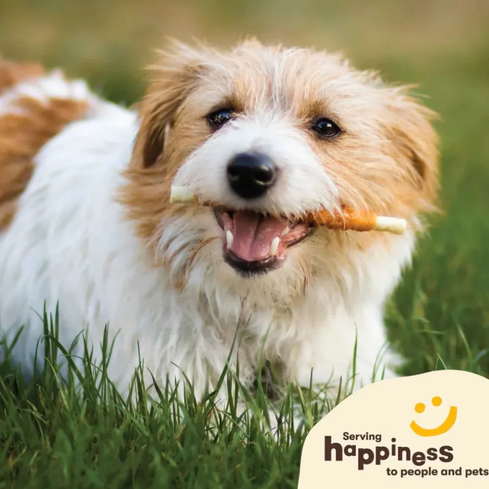 Pet 'n Shape Chik 'n Hide Twists Chicken Wrapped Rawhide Treats For Dogs
