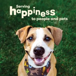Pet 'n Shape Chik 'n Skewers Treats For Dogs