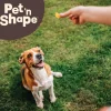 Pet 'n Shape Duck Breast Jerky Treats For Dogs (1 lb)