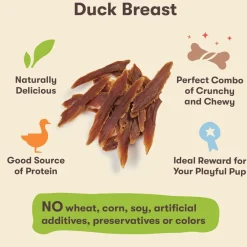 Pet 'n Shape Duck Breast Jerky Treats For Dogs (1 lb)