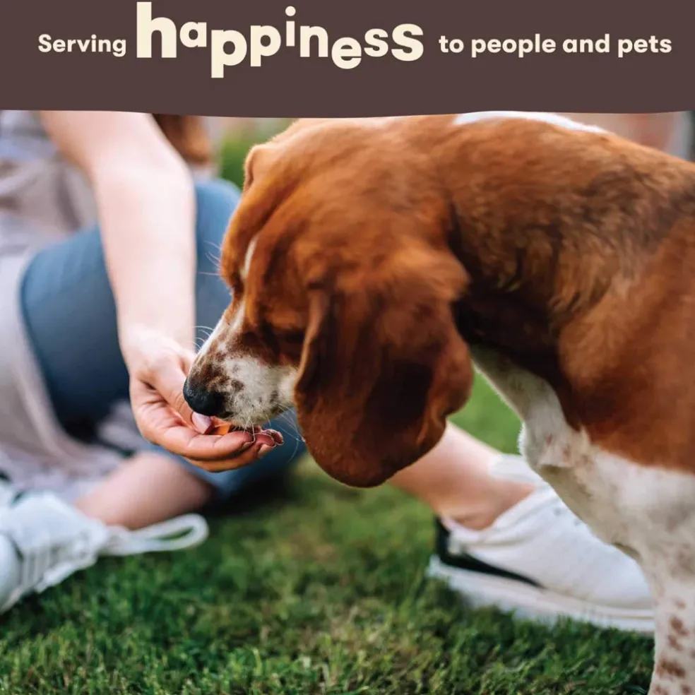 Pet 'n Shape Duck Skewers Treats For Dogs (16 oz)