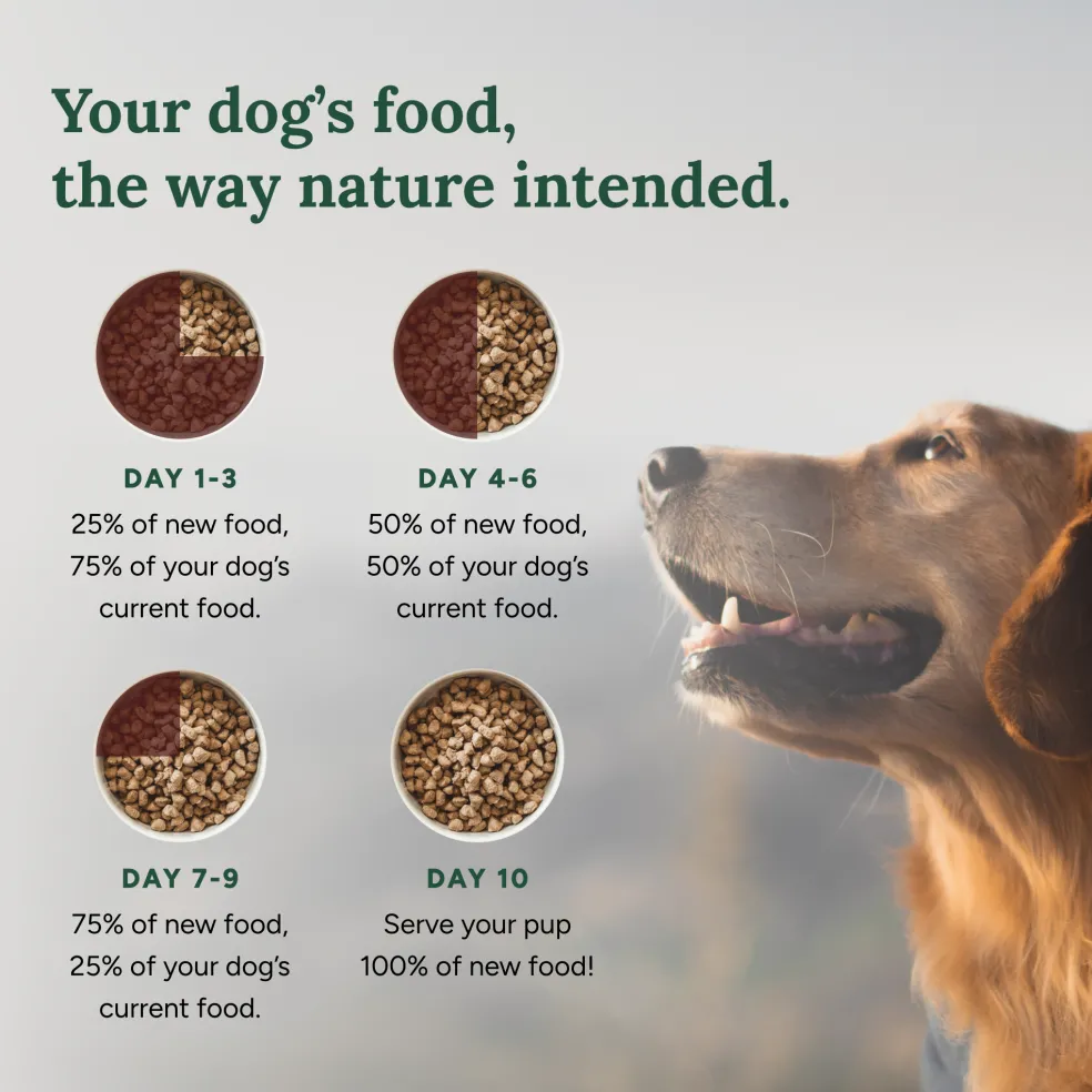 360 Pet Nutrition Multi-Meat Freeze-Dried Raw Complete Meal for Adult Dogs