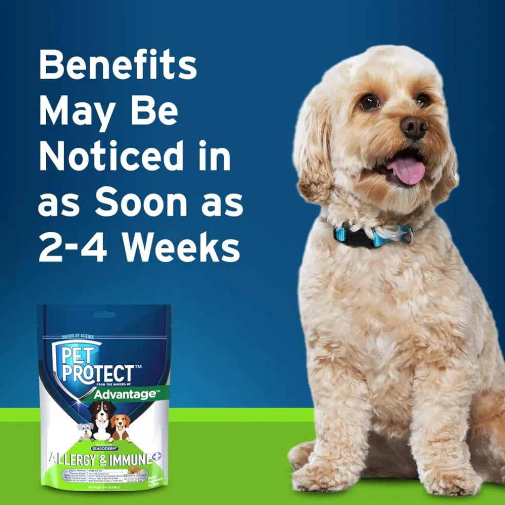 Pet Protect Allergy & Immune + Soft Chews for Dogs (60 ct)
