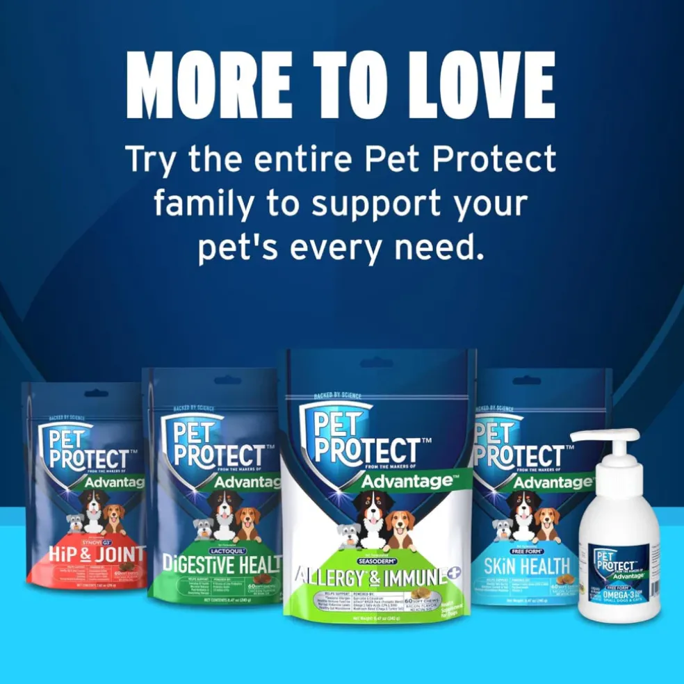 Pet Protect Allergy & Immune + Soft Chews for Dogs (60 ct)