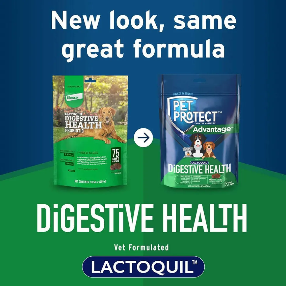 Pet Protect Digestive Health Lactoquil for Dogs, Chicken Flavor, 60 Soft Chews