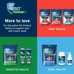 Pet Protect Digestive Health Lactoquil for Dogs, Chicken Flavor, 60 Soft Chews
