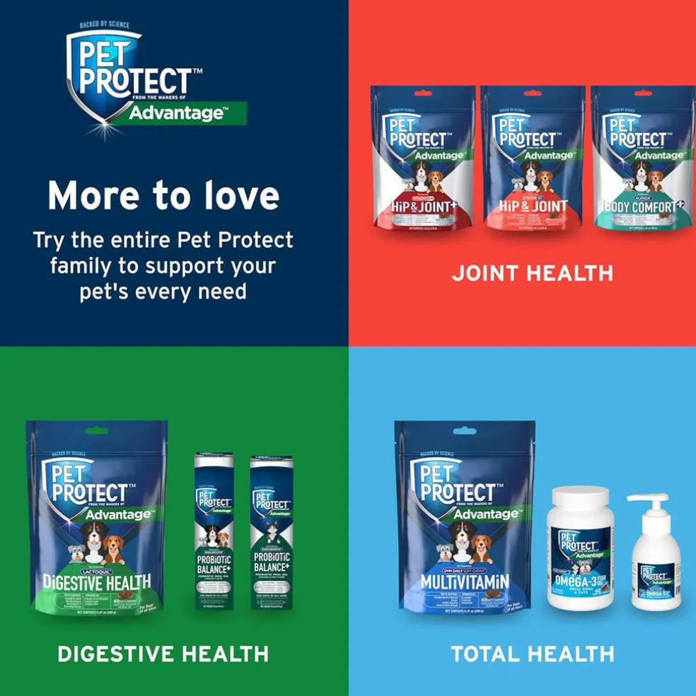 Pet Protect Digestive Health Lactoquil for Dogs, Chicken Flavor, 60 Soft Chews
