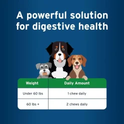 Pet Protect Digestive Health Lactoquil for Dogs, Chicken Flavor, 60 Soft Chews