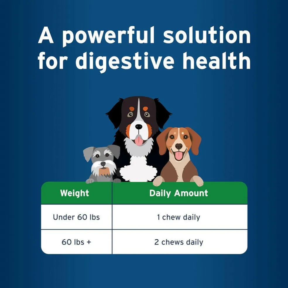 Pet Protect Digestive Health Lactoquil for Dogs, Chicken Flavor, 60 Soft Chews