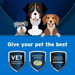 Pet Protect Multivitamin DVM Daily Soft Chews for Dogs, Chicken Flavor