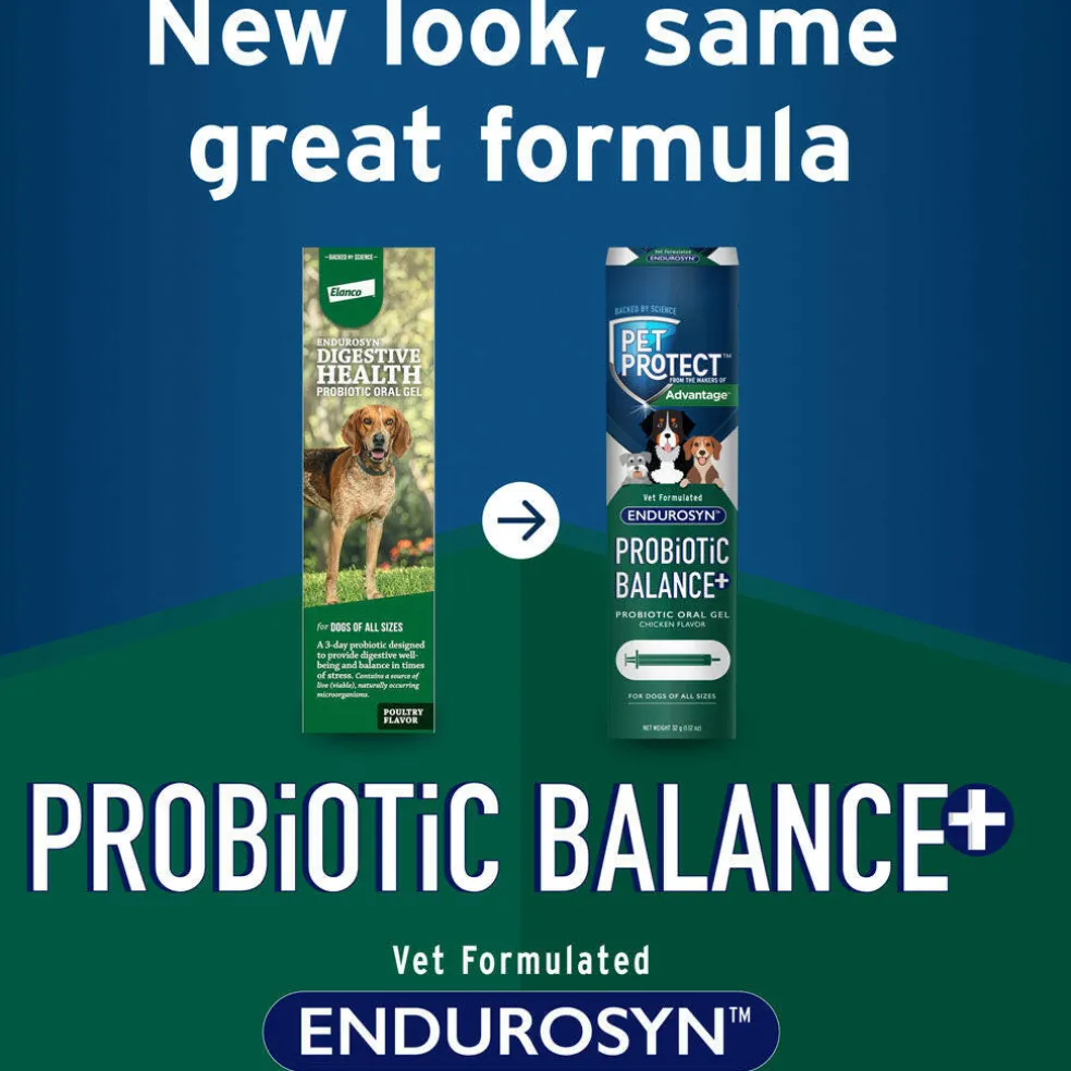 Pet Protect Probiotic Balance Plus Oral Gel Endurosyn for Dogs, Chicken Flavor, 32g