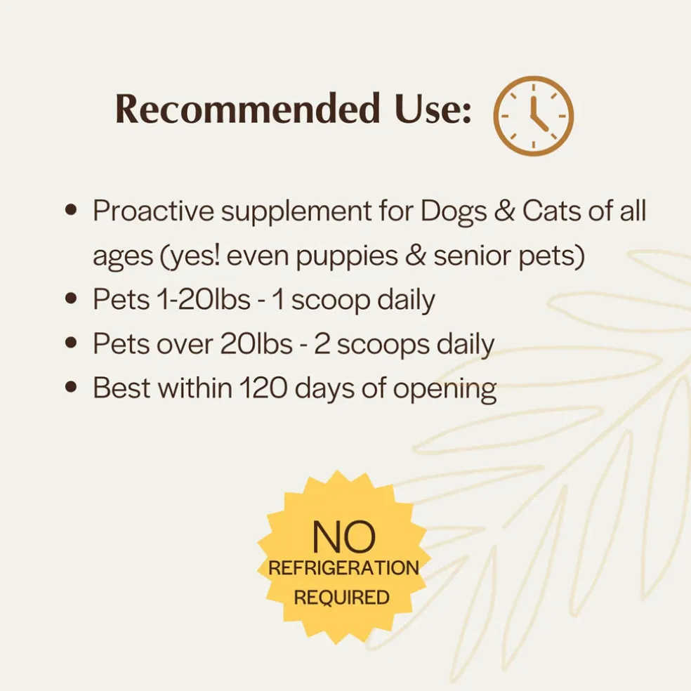 Pet Releaf Rituals Postbiotic Gut Health Support for Dogs & Cats, 2-oz