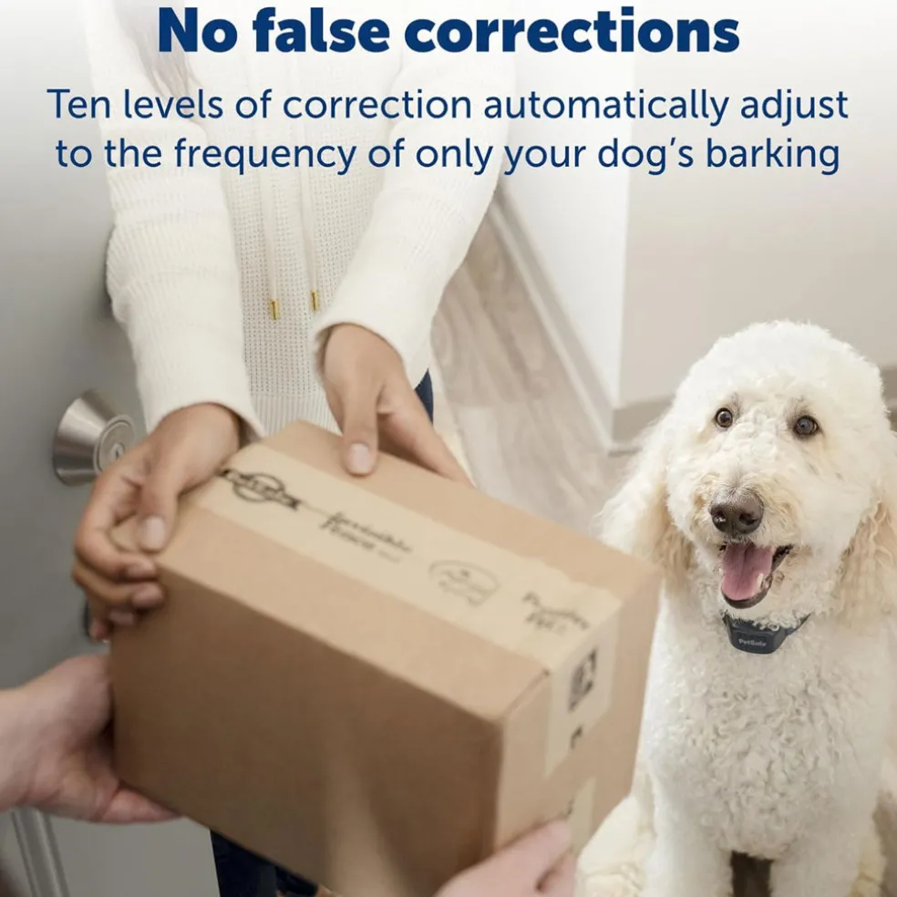 PetSafe Audible Bark Collar with Soundburst Technology