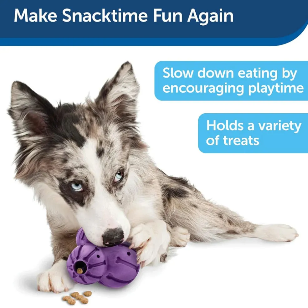 Petsafe Busy Buddy Barnacle Treat Dispenser Tough Dog Chew Toy Purple