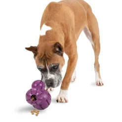 Petsafe Busy Buddy Barnacle Treat Dispenser Tough Dog Chew Toy Purple