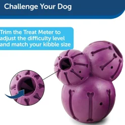 Petsafe Busy Buddy Barnacle Treat Dispenser Tough Dog Chew Toy Purple