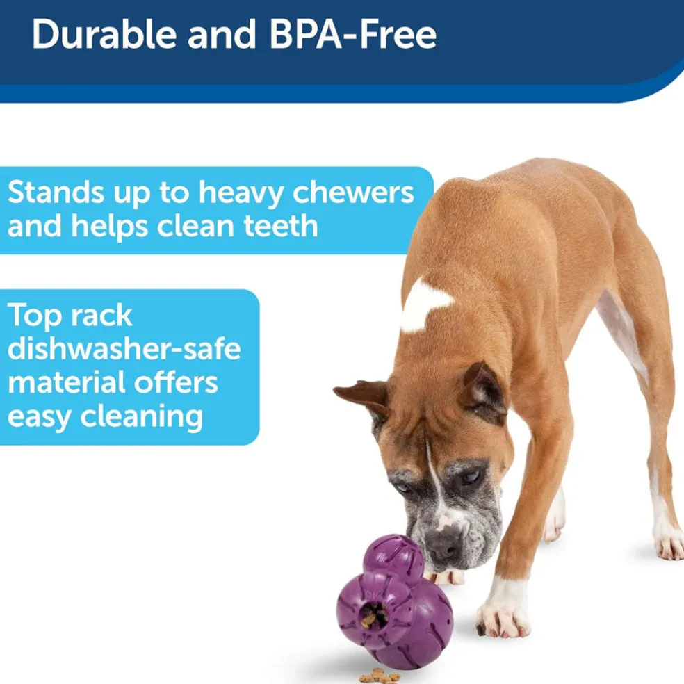 Petsafe Busy Buddy Barnacle Treat Dispenser Tough Dog Chew Toy Purple