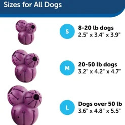 Petsafe Busy Buddy Barnacle Treat Dispenser Tough Dog Chew Toy Purple